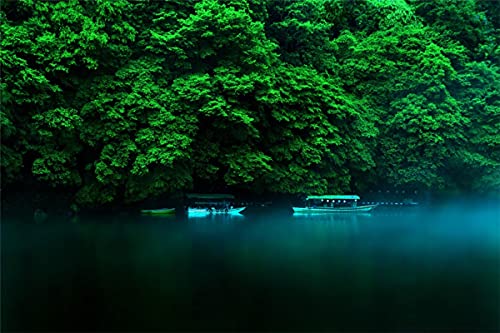 Rompecabezas De Madera 1000 Piezas, Juguetes Educativos Para Niños Adultos, Isla De Japón Honshu