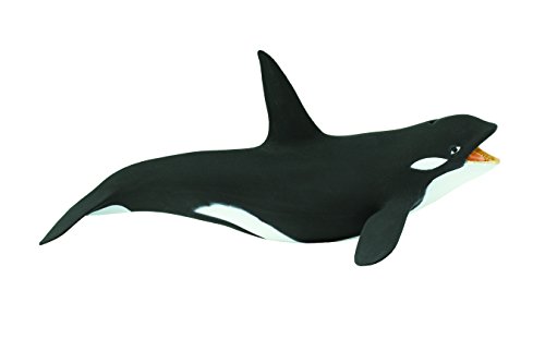 Safari 2751-29 - Orca