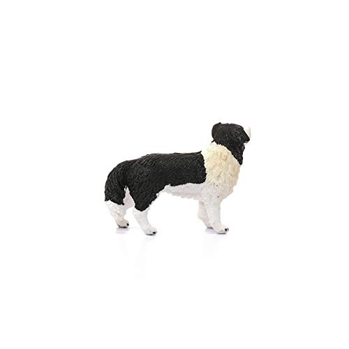 Schleich- Figura de Perro Border Collie, Colección Farm World, 6.2 cm (16840)