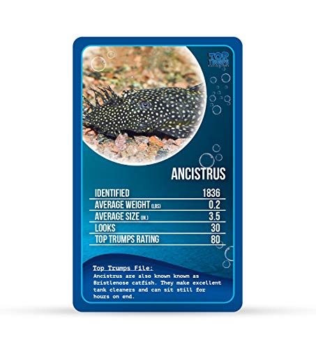 Top Trumps Pescado de Agua Dulce