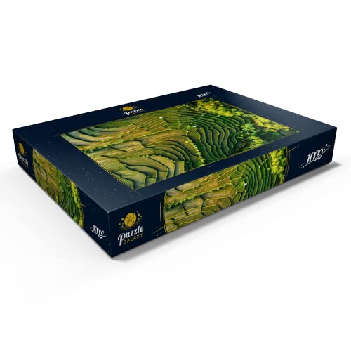 Vista Aérea De Una Terraza De Arrozales - Premium 1000 Piezas Puzzles - Colección Especial MyPuzzle de Puzzle Galaxy