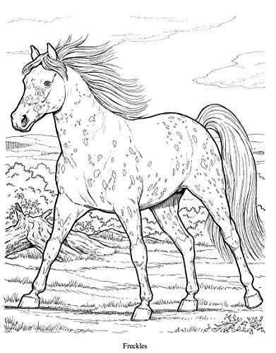 Wonderful World of Horses Coloring Book (Dover Nature Coloring Book)