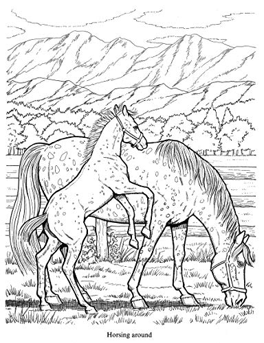 Wonderful World of Horses Coloring Book (Dover Nature Coloring Book)