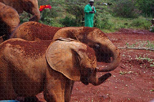 500 piezas-Nairobi Animal Orphanage Kenia Rompecabezas para adultos Regalo de viaje de madera Recuerdo