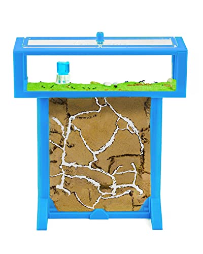 Anthouse.es - Hormiguero de Arena 3D | Kit T 15x15x1,5 cm | Granja de Hormigas Color Azul | Colonia de Hormigas Incluida