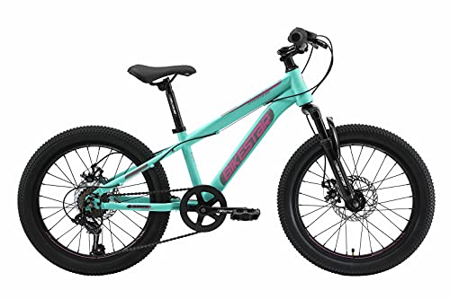 BIKESTAR Bicicleta de montaña Juvenil 20 Pulgadas de 6 a 9 años | Bici niños Cambio Shimano de 7 velocidades, Freno de Disco, Horquilla de suspensión | Menta