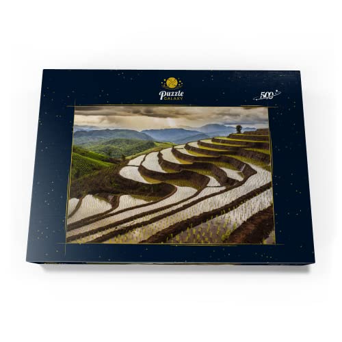 Campo De Arroz En Tailandia - Premium 500 Piezas Puzzles - Colección Especial MyPuzzle de Puzzle Galaxy