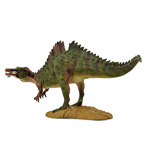 Collecta ichthyovenator