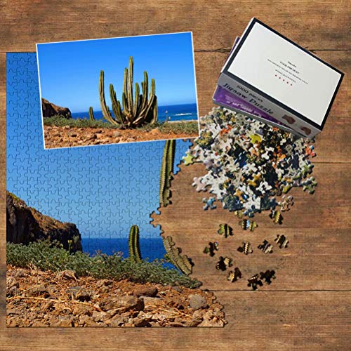 España Teneriffa Cactus Cactus Puzzle 1000 Piezas Puzle de Madera Adultos Gráfico de Jugación Viaje Souvenir Madera