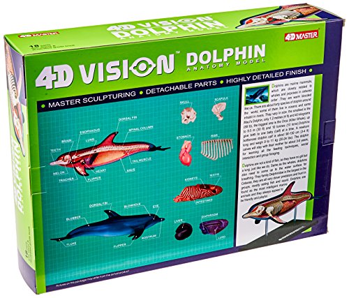 Famemaster 4D-Vision Dolphin Anatomy Model by Fame Master