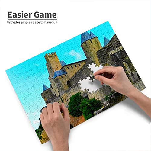 Francia Carcassonne Castle AUDE Rompecabezas para Adultos, 300 Piezas, Rompecabezas de Madera para niños, Regalo de Viaje, Recuerdo, 16.5 × 12 Pulgadas