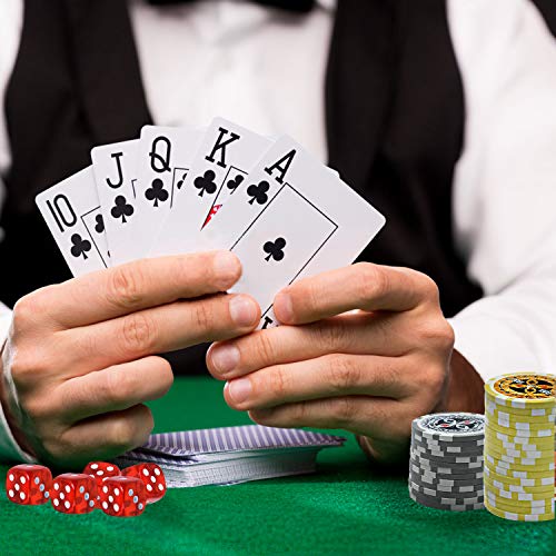 Froadp Set de Poker, Fichas de Póquer con Estuche de Aluminio Fácil de Transportar, 500x Chips Láser, 2X Barajas de Póquer, 5X Dados, 3X Botones de Crupier, 2X Teclas(Plata)