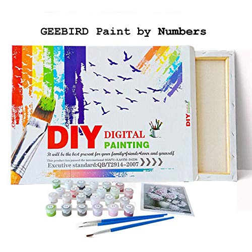 GEEBIRD DIY Pintura Regalo Hiperespacio,Pintar por Numeros para Adultos Niños 40x50cm Marco preimpreso Lienzo de Pintura al óleo Living Room Arte de la Pared decoración