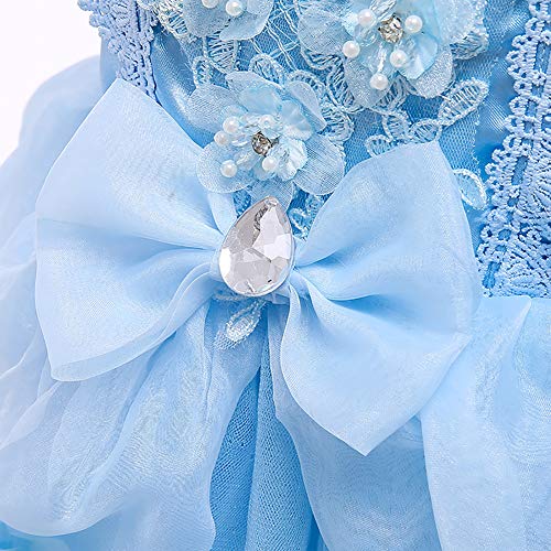 Iwemek - Disfraz de princesa para niña, diseño de raiponce de Ariel con ceniza, disfraz de princesa, vestido + accesorios, disfraz de cuento de hadas, cosplay, Halloween, carnaval, Azul Set, 6-7 Años