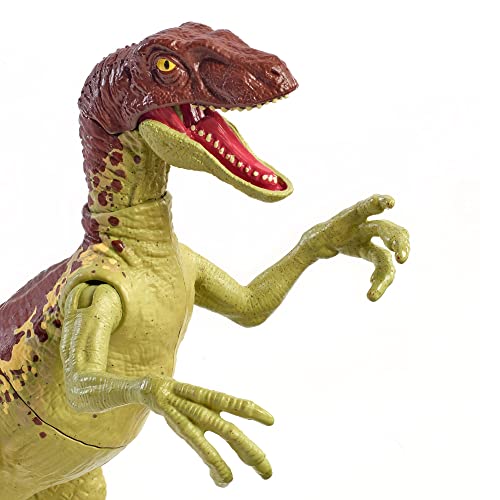 Jurassic World Velociraptor fuerza feroz Dinosaurio articulado, figura de juguete para niños (Mattel GWN32)