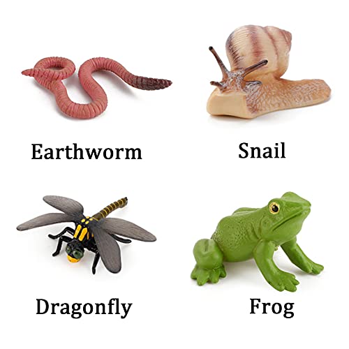 Kit de juguete de ciclo de vida animal, caracol de tierra, libélula y rana, herramienta educativa de figuras de animales del bosque, kit de juguete para niños de kindergarten (tamaño: caracol)