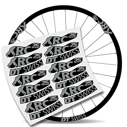 Kit Pegatinas Bicicleta Stickers LLANTA Compatible con DT Swiss XRC 25 1200 29" MTB BTT B (Gris Claro)