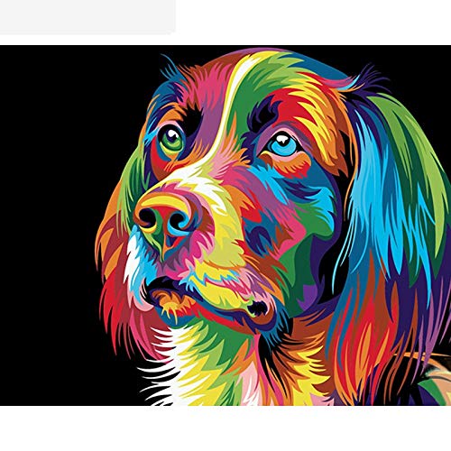 Lienzo de Bricolaje Regalo de Pintura al óleo para DIY oil Digital painting by Numbers Kits Color perro B4 Adultos niños Pintura por número Kits Decoraciones para el hogar(Sin marco) SW1201-50x65cm