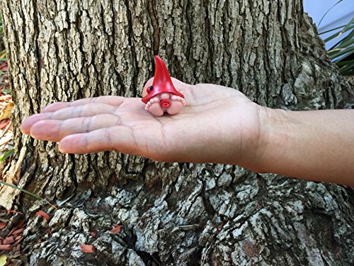 Miniature Baby Gnomes 7 Pack Collection - The Adorable Baby Gnomes para el jardín de las hadas que las hadas del jardín AMAN