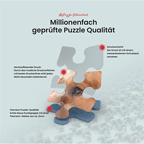 Nenúfares - Premium 1000 Piezas Puzzles - Colección Especial MyPuzzle de Mauro Bergonzoli