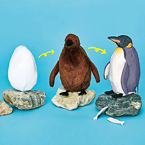 Peluches Juguete de Peluche de Crecimiento de pingüinos Cambio Triple el Proceso de Nacimiento de pingüinos Acuario de Osaka Figuras de muñecos de pingüinos mutables