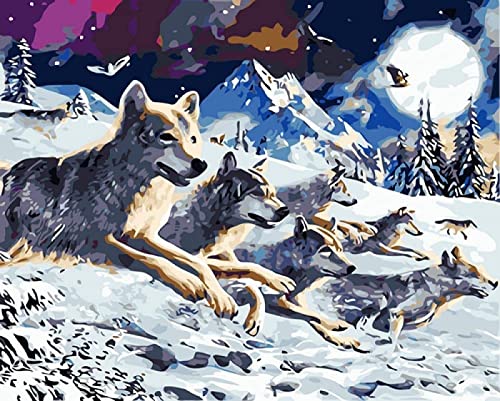 Pintura por Números para Adultos DIY Pintura al óleo Kit con Pinceles y Pinturas Pintar por número Decoraciones para el hogar - lobo en la noche (40x50cm Sin Marco)