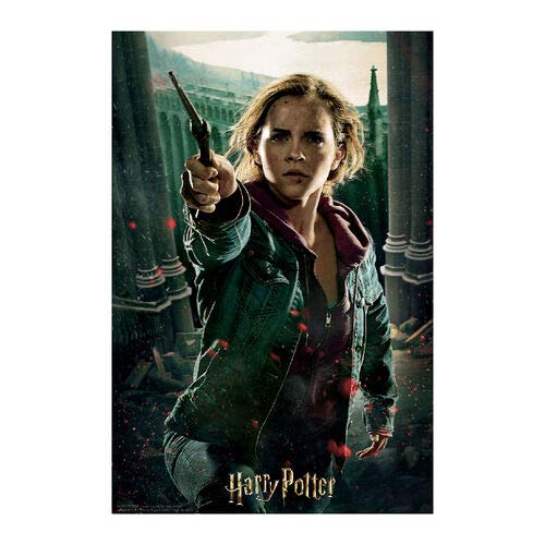 Prime 3D-Redstring-Puzzle lenticular Harry Potter Hermione Granger Batalla 300 piezas (Efecto 3D)