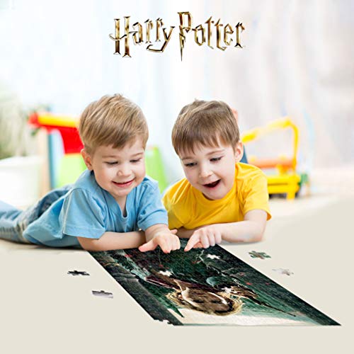 Prime 3D-Redstring-Puzzle lenticular Harry Potter Hermione Granger Batalla 300 piezas (Efecto 3D)