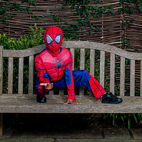 Rubie's Disfraz infantil oficial de Marvel Spider-Man, de lujo, de 5 a 6 años, altura 116 cm