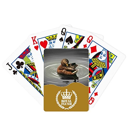 Swan Organism Animal Photography Royal Flush Poker Juego de cartas