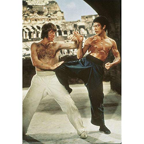 WAVECO Bruce Lee Puzzles para Adultos 300/500/1000/1500 Piezas Juego De Descompresión De Combate De Rompecabezas (1500Pieces)