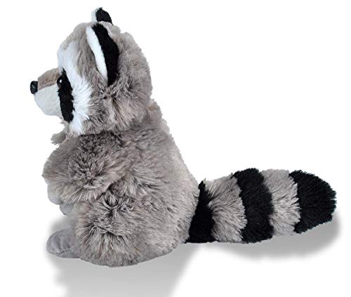 Wild Republic- CK Mini Mapache de Peluche, 20 cm (10875)