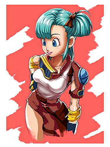 BANDOLERA GRANDE BULMA DRAGON BALL CAPSULE CORP funda portatil