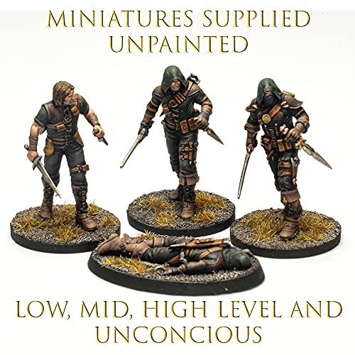 Grinning Gárgola – Aventureros 4 Pack – 28mm Resina Muy detallada Mesa RPG Miniaturas – Figuras de personajes pintables – Mazmorras y dragones Iconos de los Reinos Encuentros épicos (Rogue)