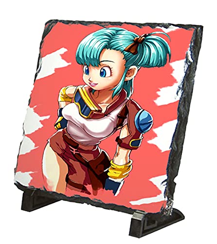 PLACA PIZARRA BULMA DRAGON BALL CAPSULE CORP portafotos portafoto