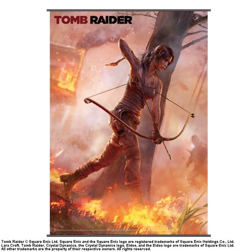 Tomb Raider - Figura Wall Scroll Vol.1