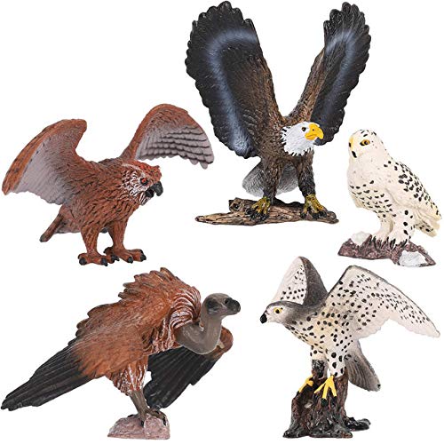 5 figuras de aves de presa, réplica de animales realistas de plástico, figuras de juguete, juego educativo para colección (aves de presa)