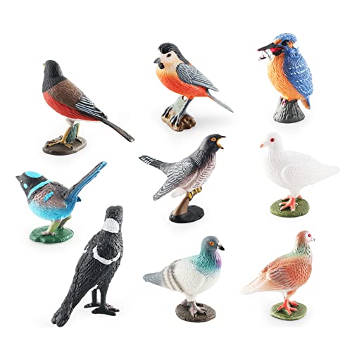 Figuritas De Animales para NiñOs, Figuritas Realistas De Aves Rapaces, Juguetes Educativos para Proyectos CientíFicos, DecoracióN De Tartas para Fiestas