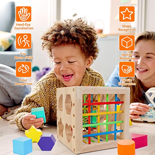 HELLOWOOD Juego de Cubo Clasificador Juguetes Montessori Educativos para Bebés a Partir de 1 Año, Juguete de Aprendizaje con 8 Bloques, Juguete de Madera para Niños Niñas de 1 2 3 Años