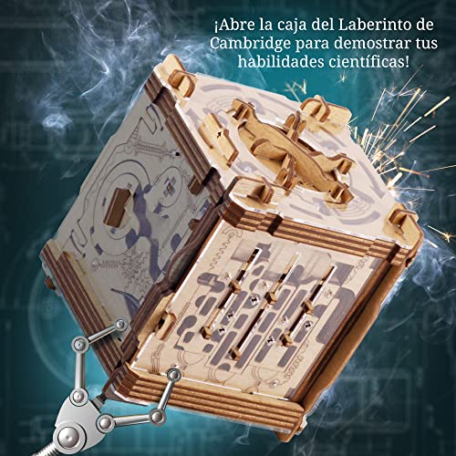 iDventure Cluebox - Laberinto de Cambridge - Juego de Escape Room - Puzzle 3D de Madera - Caja misteriosa - Caja Secreta Japonesa - Regalo Original - Caja para Dinero Boda - Rompecabezas para Adultos