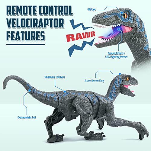 2.4G Juguetes de Dinosaurio con Control Remoto, Velociraptor electrónico Educativo para Caminar con Luces y Sonidos, Juguetes Robot de Dinosaurio alimentados por batería Recargable