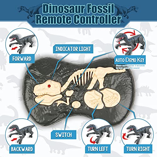 2.4G Juguetes de Dinosaurio con Control Remoto, Velociraptor electrónico Educativo para Caminar con Luces y Sonidos, Juguetes Robot de Dinosaurio alimentados por batería Recargable