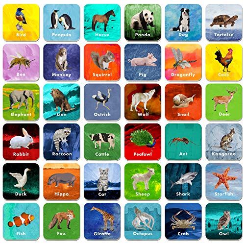 36 Pares de Tarjetas de Animales borrables para Jugar a relacionarlas (Cada una Mide 5 x 5 cm)