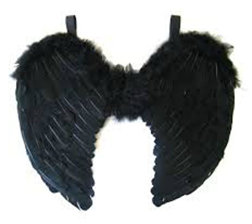 Allsorts Black Feather Wings Halloween Fancy Dress Dark Angel Wings