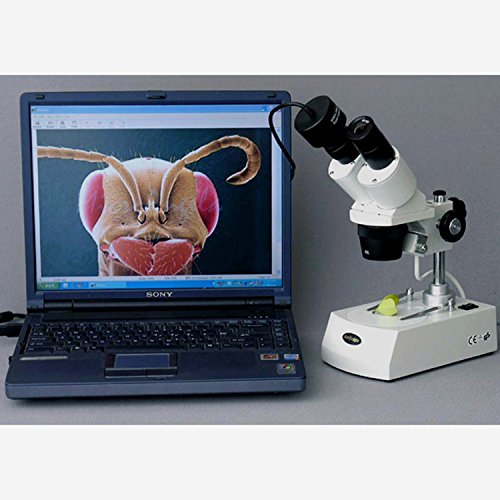 AmScope SE306R-PZ-M-20X 40X-80X Adelante Microscopio est-reo, c-mara de 1.3MP Digital