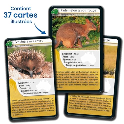 Bioviva – Juego de 3 juegos de cartas desafíos Naturaleza – África, Oceanía y Américas