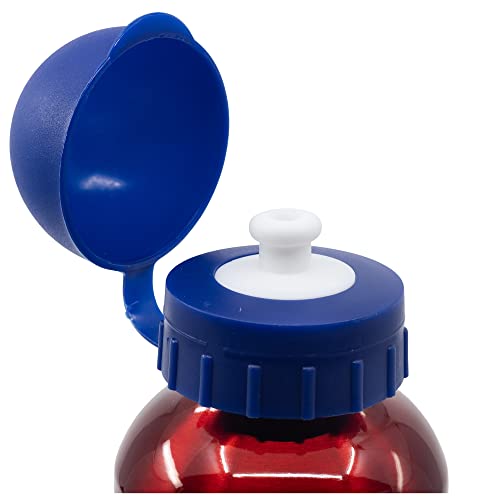 Botella de agua infantil reutilizable de aluminio de 530 ml de Los Vengadores - Marvel