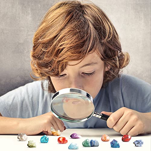 Byncceh 48 Set de Piedras Preciosas Naturales, Minerales de Roca para Niños, Regalo de educación científica, Fiesta de cumpleaños en el Aula