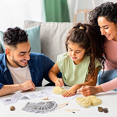 Byncceh Kit de Excavación para Fósiles Auténticos, Juego de Experimentación para Niños para 7 Años, Fiesta Stem con Juguetes Educativos de Regalo