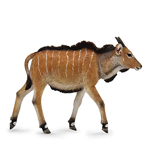 Collecta - Eland Calf - M - 88768 (90188768)